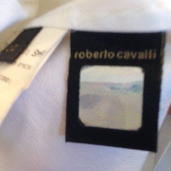 Roberto Cavalli Vintage 2005 Blouse Top Button Up Animal Print Trim IT 44 (US 8) - Picture 4 of 7